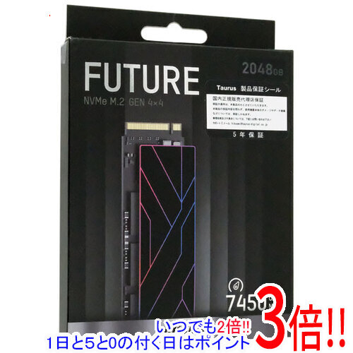 【中古】HIKSEMI 内蔵SSD HS-SSD-FUTURE-2048G 未当て嵌める