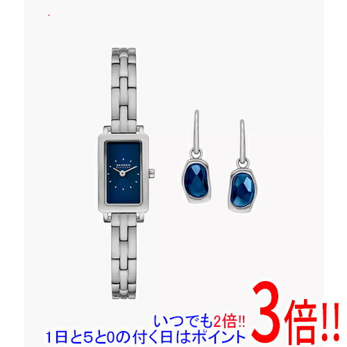 【1日と5.0のつく日、18日はポイント3倍！】スカーゲン 腕時計 HAGEN MICRO GIFT SET SKW1157SET