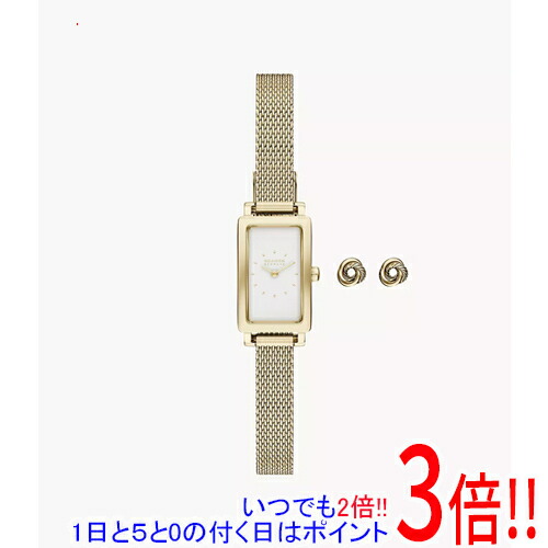 【1日と5.0のつく日、18日はポイント3倍！】スカーゲン 腕時計 HAGEN MICRO GIFT SET SKW1158SET