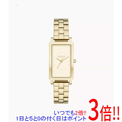 スカーゲン 腕時計 HAGEN LILLE SKW3098｜エクセラー２号館　店