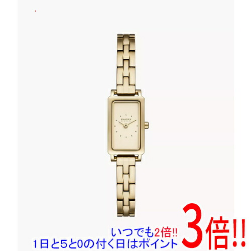 【1日と5.0のつく日、18日は尖んがり3倍！】スカーゲン ウオッチ HAGEN MICRO SKW3154 腕時計-レディース腕時計