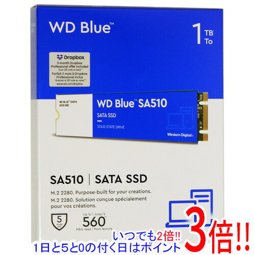 【1日と5.0のつく日、18日はポイント3倍！】Western Digital製 SSD WD Blue SA510 SATA WDS100T3B0B 1TB