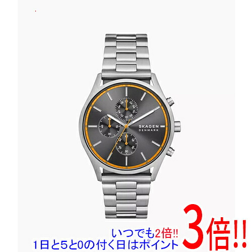 【1日と5.0のつく日、18日はポイント3倍！】スカーゲン 腕時計 HOLST CHRONOGRAPH SKW6926
