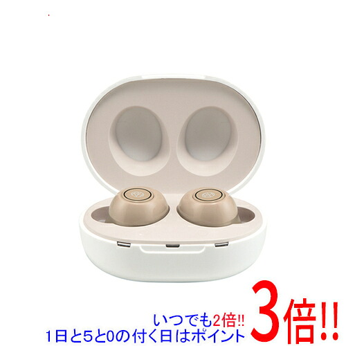 販売店ジャパン たわい無い聴聞会 耳穴型集音器 RA-SABG1