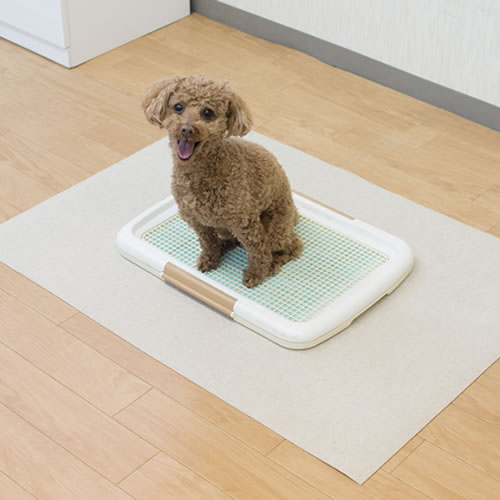 三愛繊維【ペット用品】キュートリー消臭マット65×180cmアイボリーCUTELY65180-IV★【防水・滑り止め加工】
