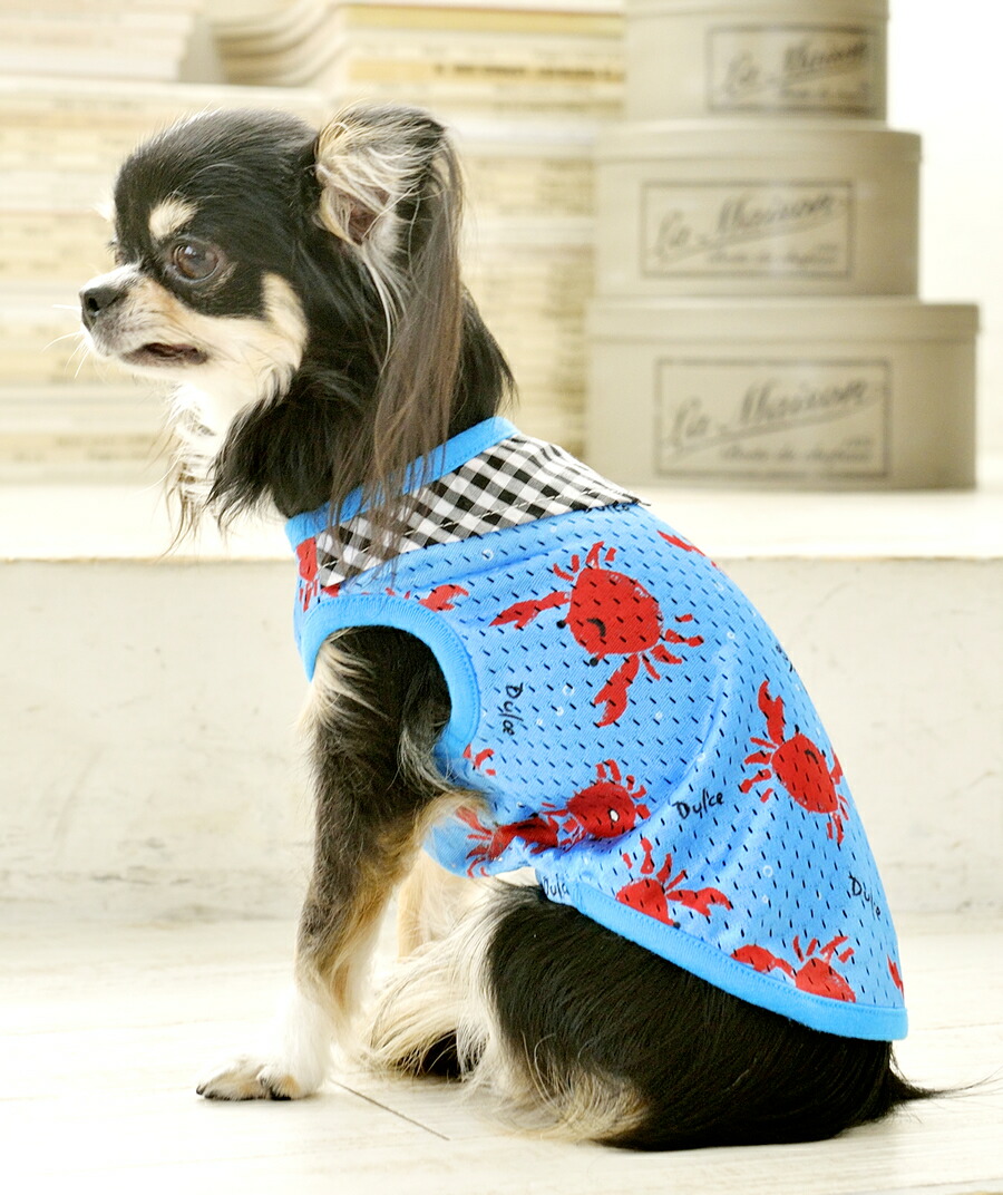 最大78 Offクーポン ディーアイディー 汎用 Vr46コラボチェーン 530vr46 100l Zj カシメ リンク数 Fucoa Cl