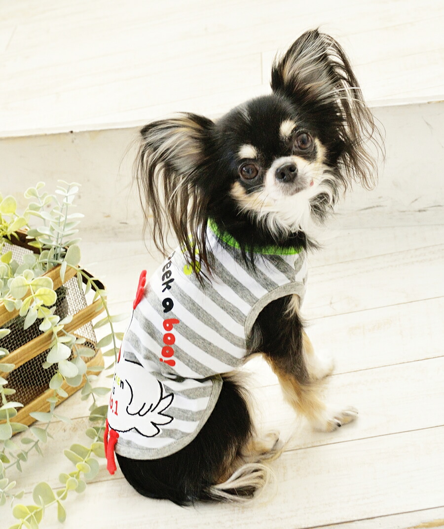 人気カラーの 犬 服 小型犬用 薄手 ドッグウェア 日焼け止め メッシュ ベスト 通気性 春夏用 ペット Qdtek Vn