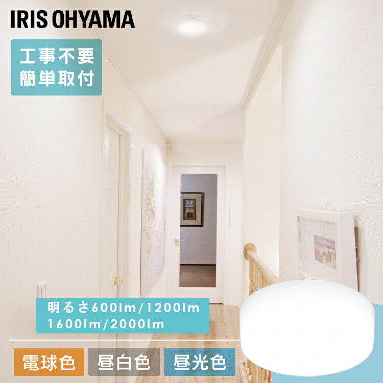新商いもの特集