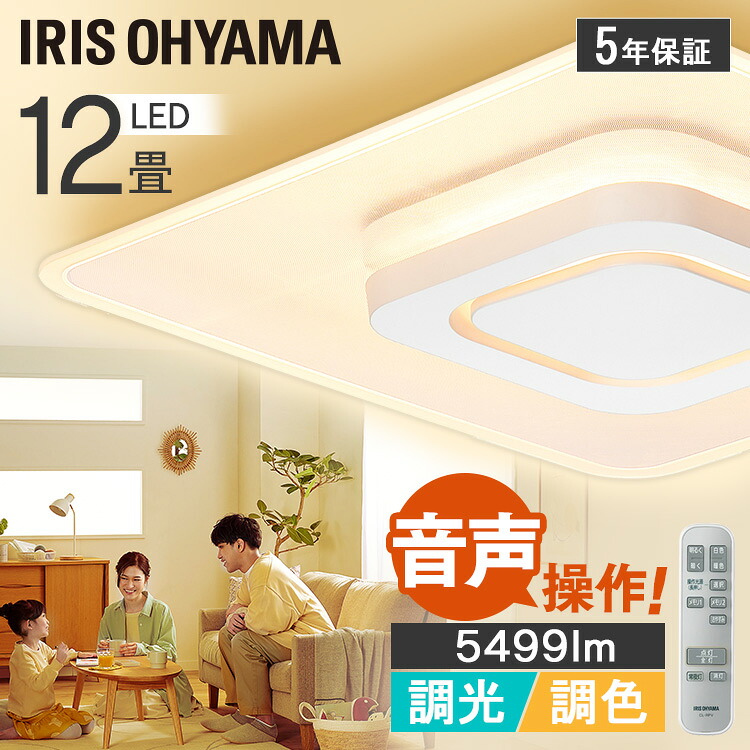 LEDシーリングライト 音声操作 パネルライト 12畳 CEK-A12DLPSV ホワイト 送料無料 シーリングライト 12畳 LED ライト 電気 電灯 あかり 調光 調色 音声操作 音声認識 スピーカー不要 Wi-Fi不要 リモコン付き 角型 節電 省エネ [B]｜DENDEN 16,644円