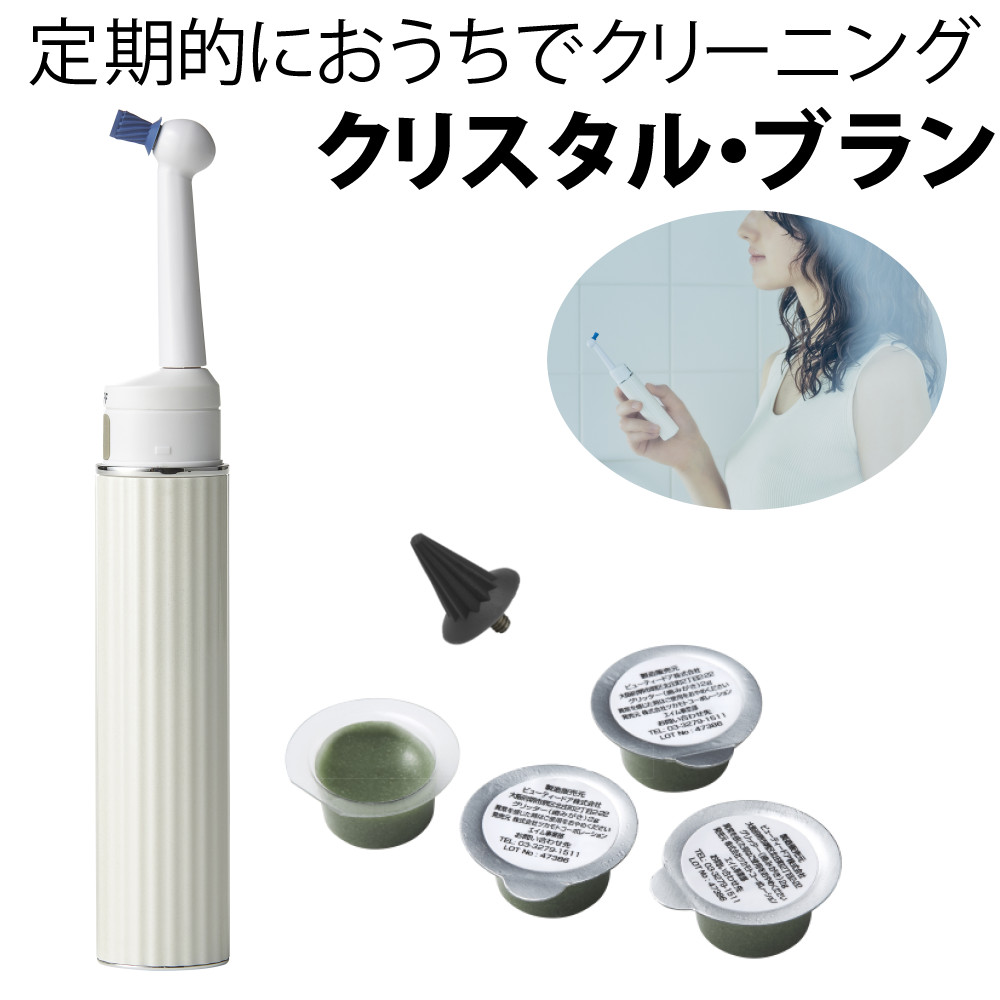 ホームショッピング 事あたらしい筆 春を呼ぶエゾモモンガ 春を待つシマエナガ