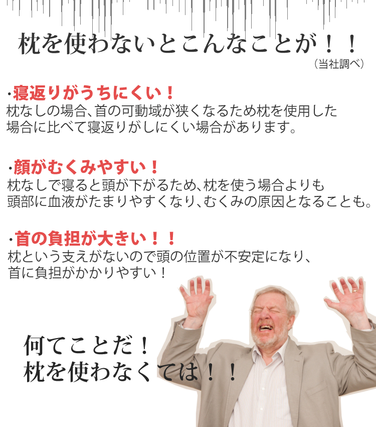 枕 西川 美shise うつくしせ 枕いらずの方向け枕 姿勢を磨く枕 低め 高さ調整可能 Eh ラッピング不可 快適家電デジタルライフ septicin Com