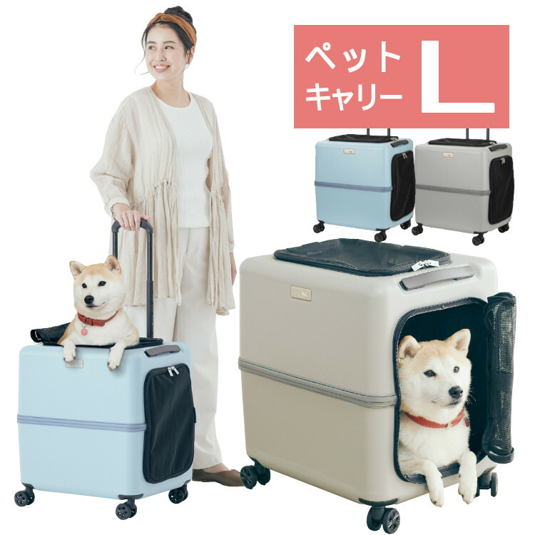 ちぃ　断捨離中!!!値下げ交渉ありページ 身体の断捨離®】まずは、冷蔵庫の掃除から | つじけいこの断捨離