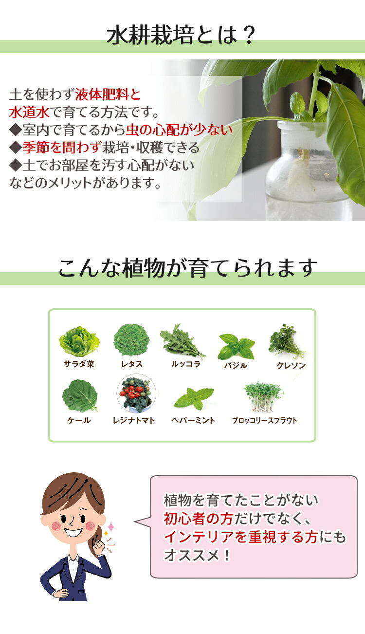 自宅で野菜やハーブを育てよう 水耕栽培器 灯菜 Akarina 水耕栽培機 オリンピア照明 Oma01rn 観葉植物 家庭用 家庭菜園 Led アカリーナ デジタルライフ インテリア 水耕栽培キット 水耕栽培