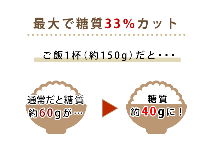 デジタルライフ 白米4合 セット スマートライスクッカー 保温 冷凍ご飯容器 スポンジ スポンジ しゃもじ おかゆ 玄米 ラッピング不可 快適家電 白米4合 保温 糖質カット炊飯器 アイネクス 予約機能付き