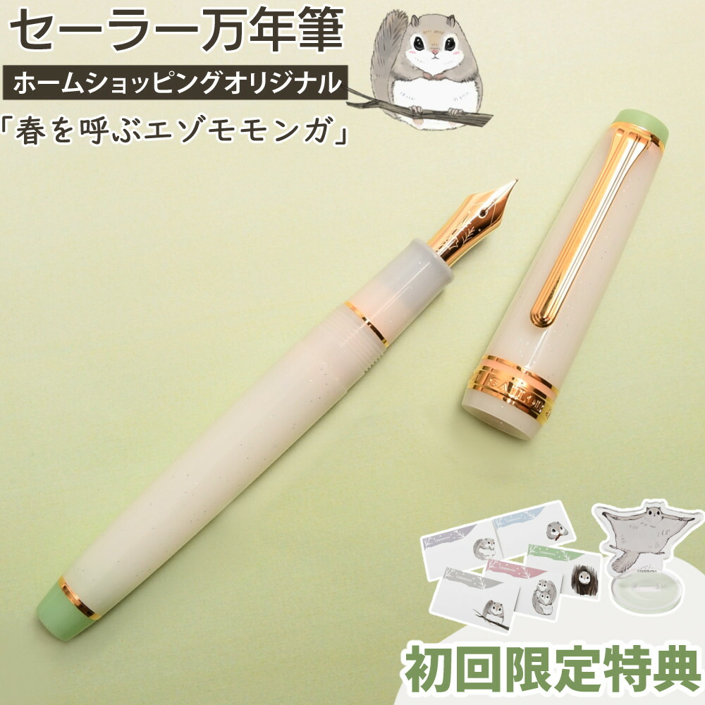 楽天市場】【初回限定特典付き】セーラー万年筆 ホーム