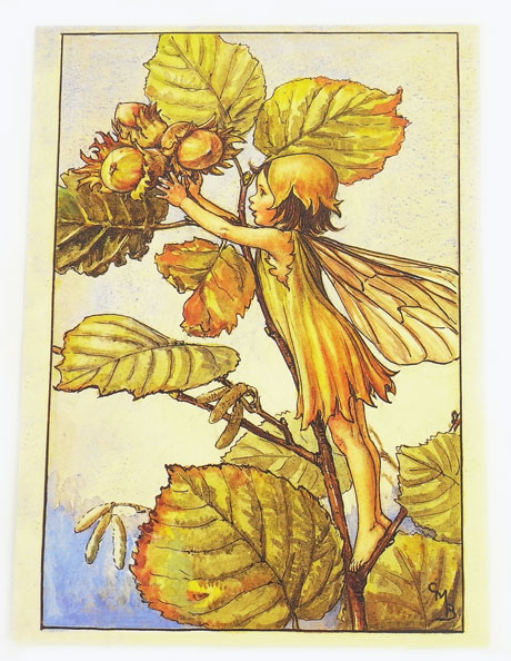 楽天市場】フラワーフェアリーズ ポストカード The Tulip Fairy