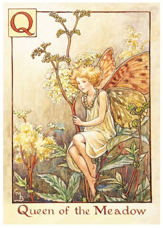 楽天市場】フラワーフェアリーズ ポストカード The Tulip Fairy