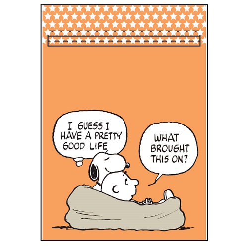 楽天市場 ジップバッグ スヌーピー ジップギフトバッグs オレンジart Print アートプリントジッパーバッグ ラッピング袋 キャラクター 保存袋 ジップロック 小分け ｋａｄｅｒｉａ