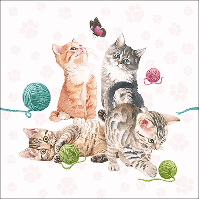 楽天市場】ペーパーナプキン[メール便OK] 花柄キャット[Paw]2枚入り猫 
