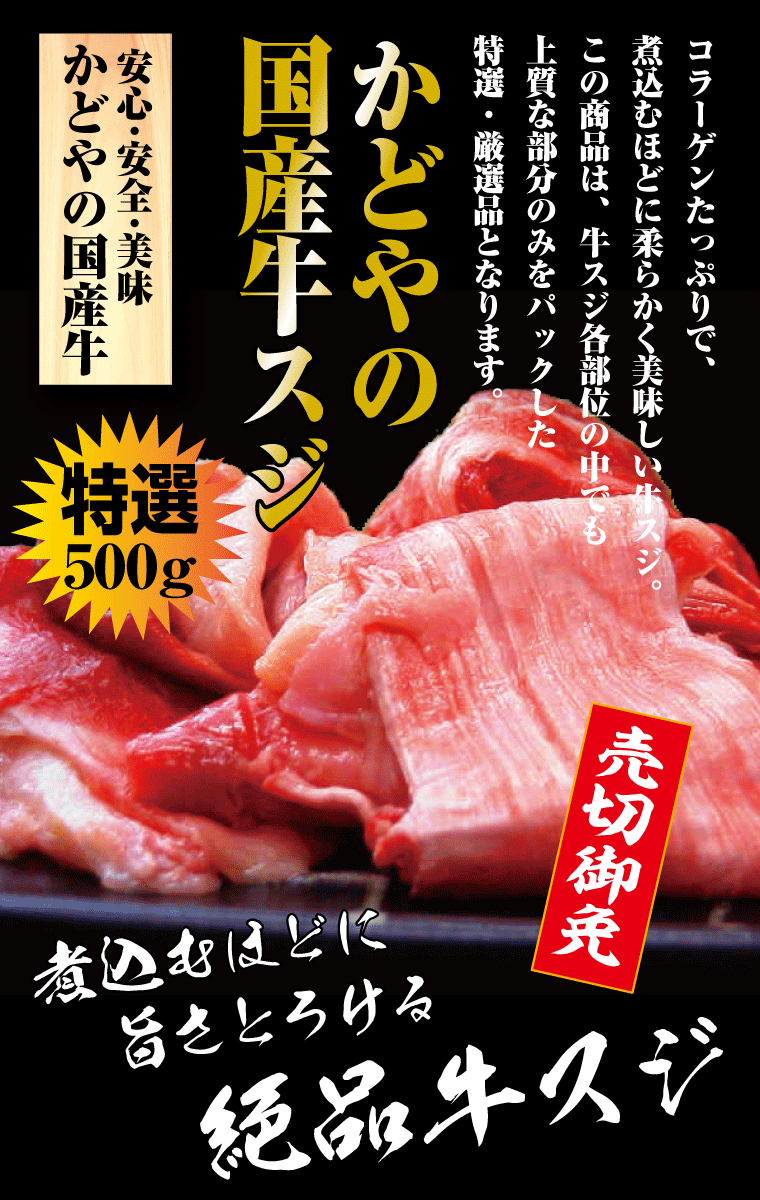 初回限定お試し価格】 国産牛スジ500g 精肉・肉加工品