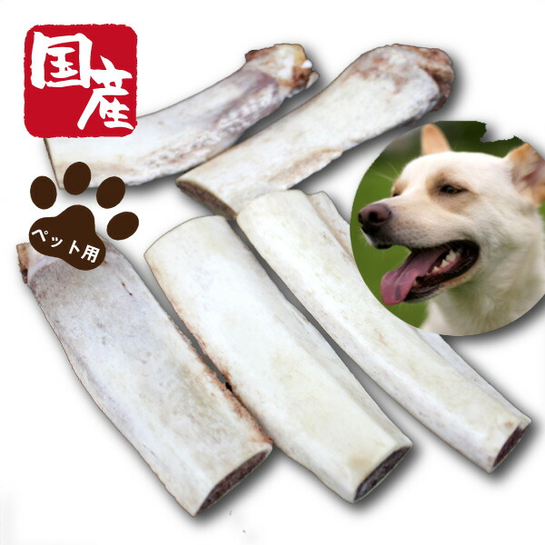 楽天市場 ペット用国産牛バラ骨500g 50 Off セール ペット 犬用 国産 おやつ かどや牧場