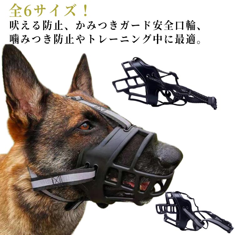 いぬ qqbd0475.jpg