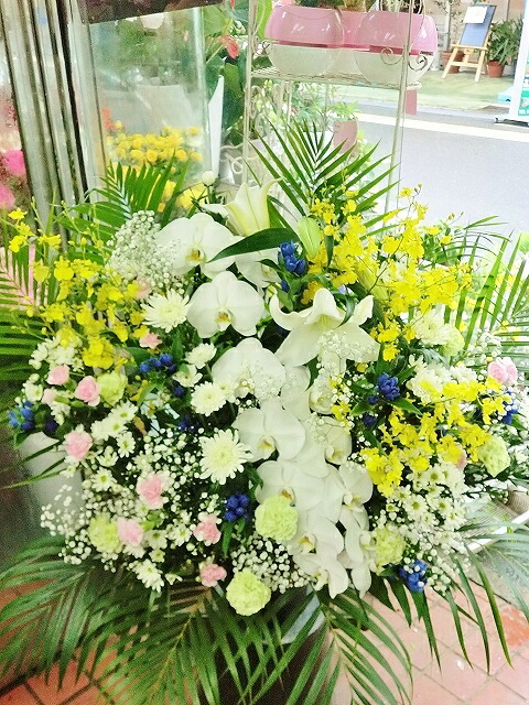 【告別式 花 照明ランプ】【告別式 お半通夜 照明ランプ花】【貨物輸送無料 供花】【14時まで】「半通夜 告別式 告別式 専用 夢見鳥蘭 入り口・入口 照明ランプ花」(和風・白本調子にパステル色の色取り)【お供え お悔やみ】【法事 お供え花】【枕花 供養花】【生け花 献花 周忌 命日】
