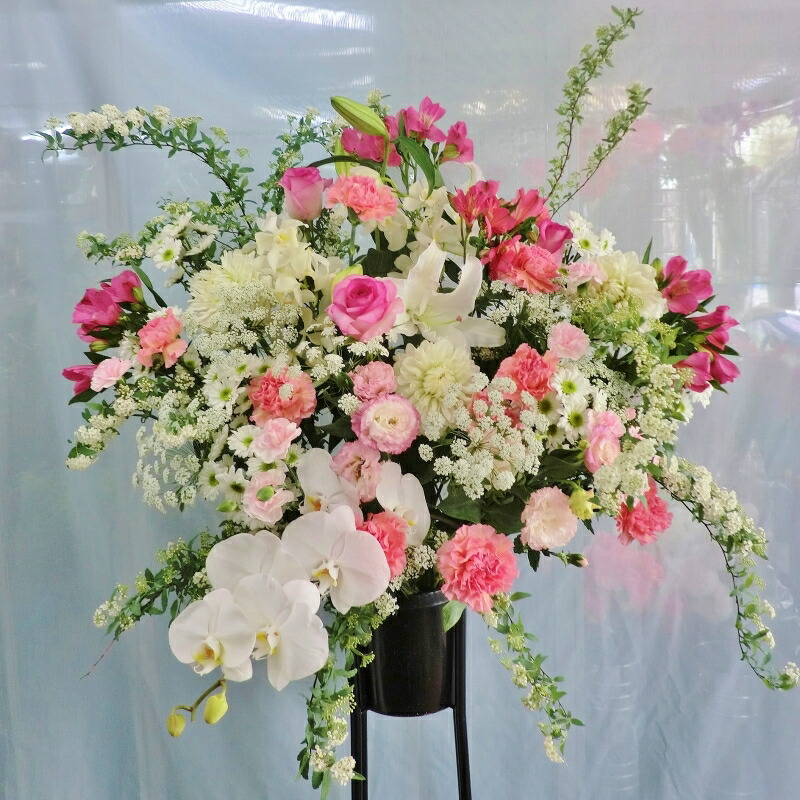 照明ランプ花 開店祝賀会 開業祝賀会 花 祝賀会 生まれ落ちる日 今めかしい 【貨物輸送無料】【照明ランプ御花 御花差し上げ物】「夢見鳥蘭 入り口・入口 照明ランプ花・置き目手合い★(さくら色系)」【活け花 周年 祝賀会】【告げ知らせる会 差し上げ物】【申し合わせ】【祝賀会花 開けはなし 移し替える祝賀会】