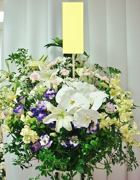 葬儀式 花 照明ランプ 葬儀式 おお通夜 照明ランプ花【貨物輸送無料 供花】【14時まで】「半通夜 葬儀式 告別式 専用 夢見鳥蘭 入り口・入口 照明ランプ花」(和風・白主要点にパステル色の色差し)【お供え お悔やみ】【法事 お供え花】【枕花 供養花】【生け花 献花 周忌 命日】