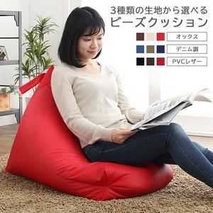 おしゃれ 背もたれ ビーズクッション success for change ビーズクッション おしゃれ 背もたれ[00]