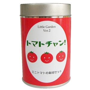 楽天市場】リトルガーデンVer．2 トマトチャン ミニトマト 栽培