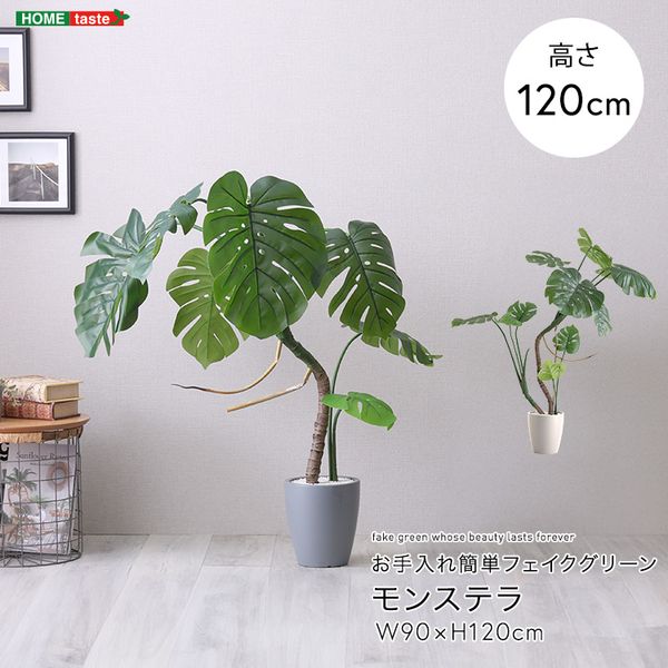 お手入れ簡単フェイクグリーン　モンステラ　Sサイズ(120cm)[03]｜kagu＊kagu ～家具と雑貨のお店～