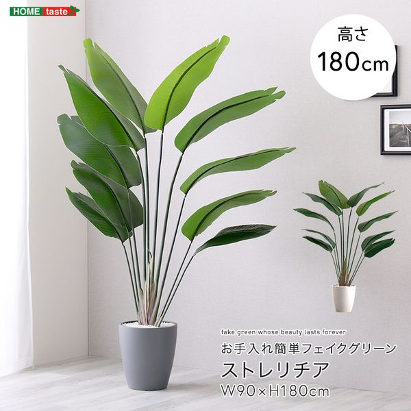 お手入れ簡単フェイクグリーン　ストレリチア　Lサイズ(180cm)[03]｜kagu＊kagu ～家具と雑貨のお店～