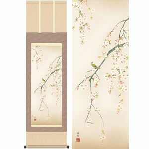桜花／おうか　幅44.5×高さ約164cm　西尾香悦／にしおこうえつ　季節飾り　花鳥画　春掛け 掛け軸 掛軸 [20]