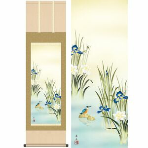 菖蒲にかわせみ／しょうぶにかわせみ　幅44.5×高さ約164cm　高見蘭石／たかみらんせき　季節飾り　花鳥画　夏掛け 掛け軸 掛軸 [20]