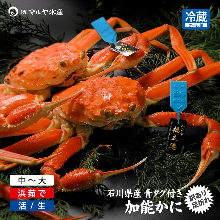 楽天市場】蟹漁解禁 カニ 訳あり かに 蟹 ズワイガニ ずわい蟹 加能か