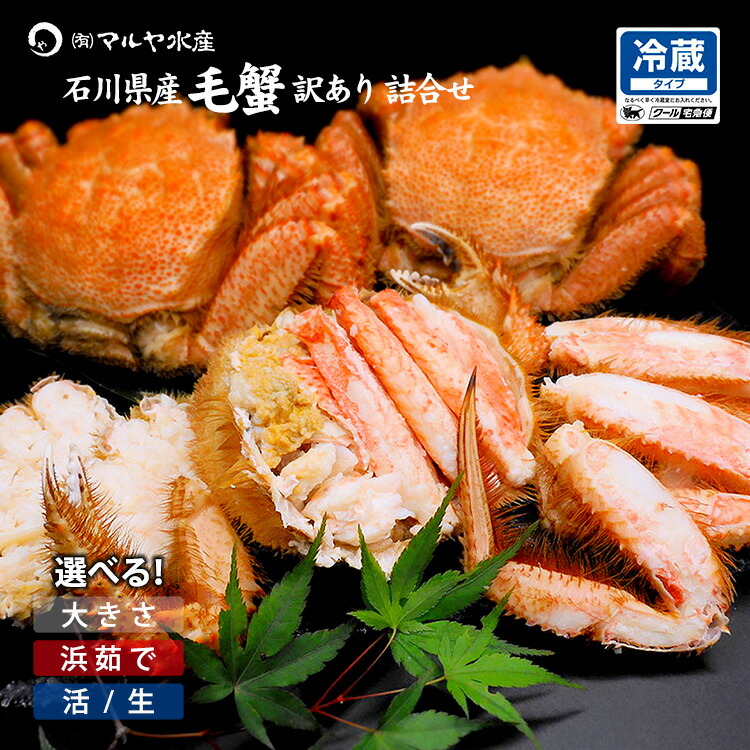 毛ガニ 毛蟹 訳あり 1～5kg セット 石川県産 活蟹 or 茹で蟹 未冷凍品 加賀 能登 贈答 ギフト 通販 お取り寄せ 産地直送 送料無料
