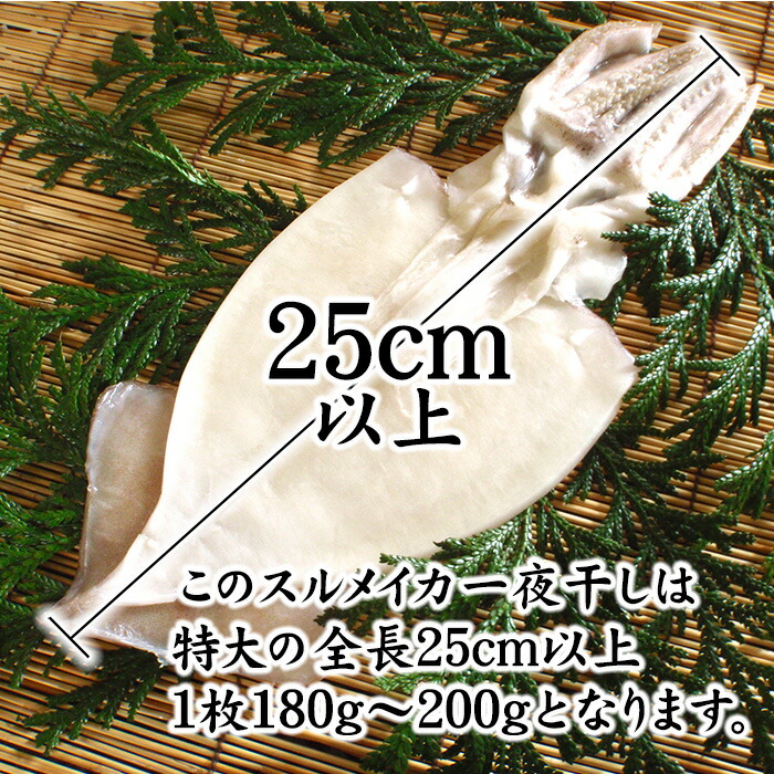 するめいか 干物 一夜干し 石川県産 船凍いか使用 小木漁港水揚げ1本凍結