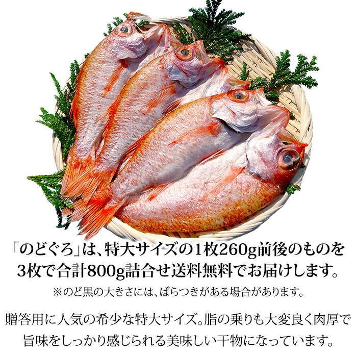 割引も実施中 のどぐろ のど黒 一夜干し 開き 干物 特大サイズ 3枚 合計800g 産地直送 お取寄せ 送料無料 fucoa.cl