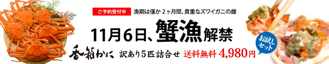 楽天市場】蟹漁解禁！香箱蟹 せいこ お試し 訳あり 5匹 詰め合わせ 浜