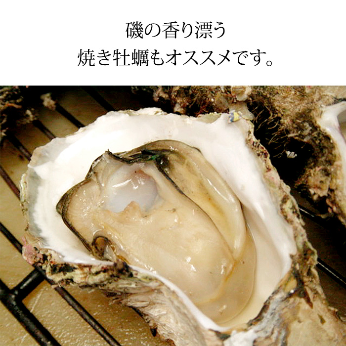 岩牡蠣 カキ 天然 大 10個 石川県産 かき 生食用 殻付き