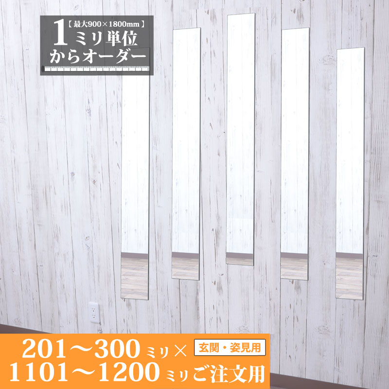 ■■?鏡御引き回し ～ 鏡の基本原理一般教養 ～