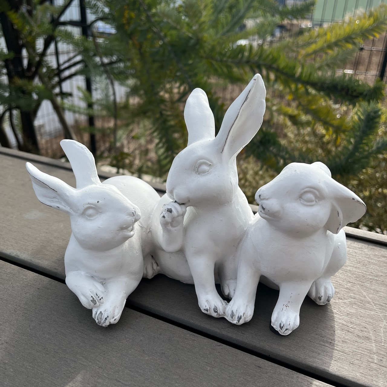 楽天市場】うさぎ 白い 黒ぶち ウサギ 兎 ラビット 動物雑貨