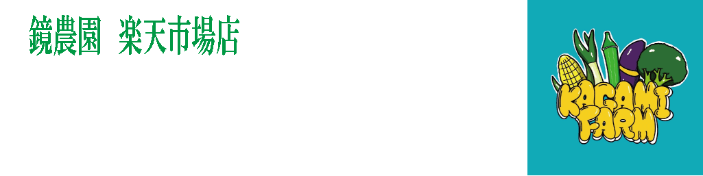 �����ࡡ��ŷ�Ծ�Ź��������Τ���������ڤ��Ϥ�����