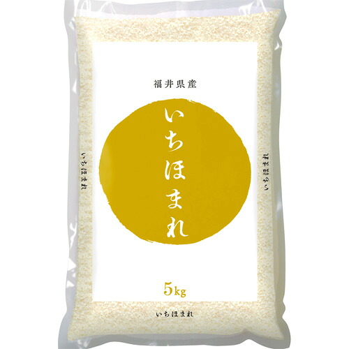 13-1 いちほまれ 5kg 化粧箱入 福井県 お土産 特産物 米 贈答 おいしい 米 土産 贈り物