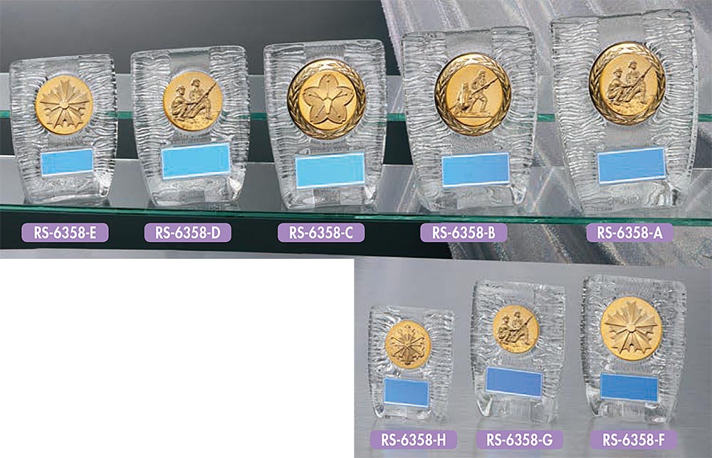【プレート彫刻無料】消防楯RS-6358-C　表彰　退職記念品　退団記念品