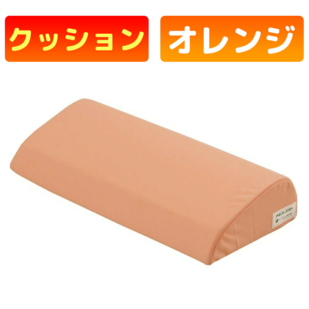 ナーセントメディカルスワロー アイ・ソネックス 体位変換クッション ポジショニングクッション 床ずれ防止 褥瘡予防 体圧分散 低反発 防水 介護用品 500&times;250&times;105｜かがやきECOショップ