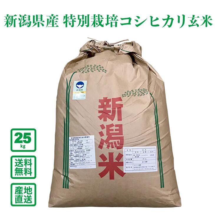 楽天市場】【令和6年産】新潟県産コシヒカリ 佐渡産(減農薬米