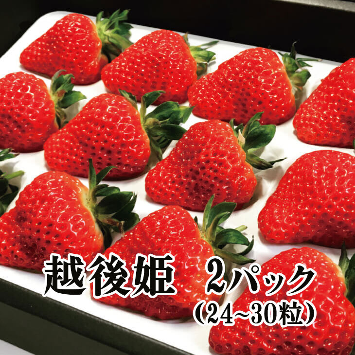 【予約】新潟のいちご 越後姫 2パック（24粒～30粒）【冬ギフト】