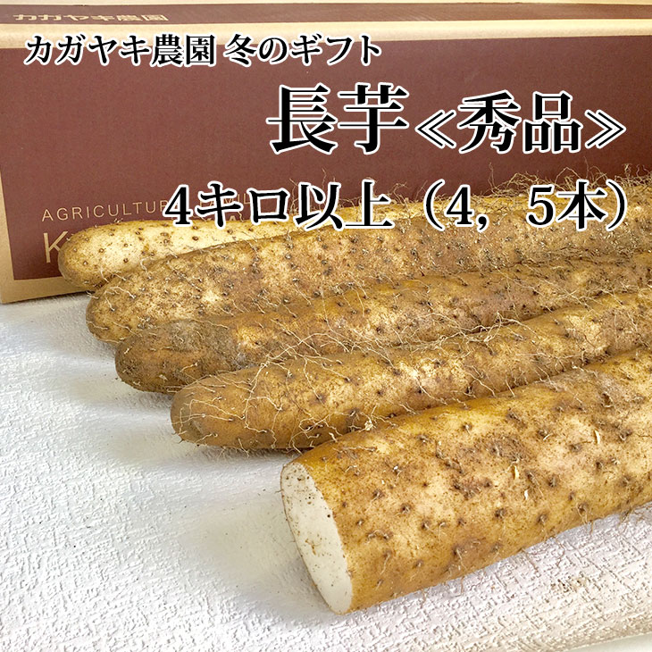 楽天市場】当店一押し！【冬季限定】特上！京都府産 海老芋えびいも*3L